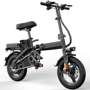 Foldable Electric Bike